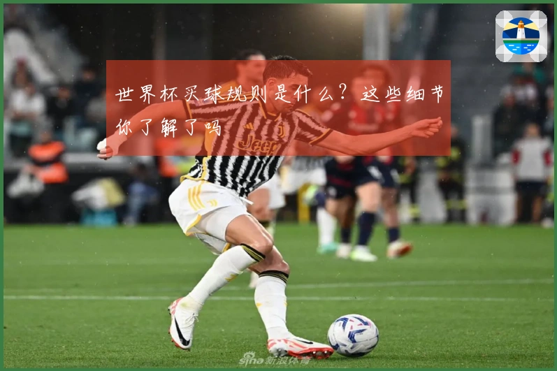 世界杯买球规则是什么?这些细节你了解了吗