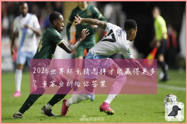 2026世界杯竞猜怎样才能赢得更多？专家分析给你答案