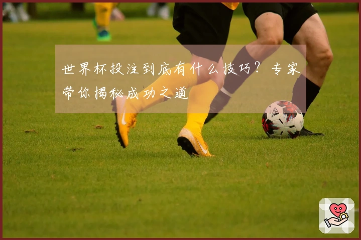 世界杯投注到底有什么技巧？专家带你揭秘成功之道