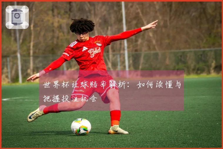 世界杯让球赔率解析：如何读懂与把握投注机会